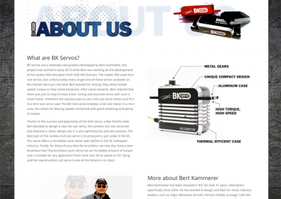 BK Servo Web Site Design