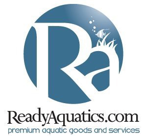 Ready Aquatics Logo Design, Branding